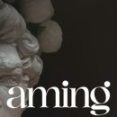 수아밍