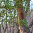 정방사길 이미지