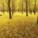 홍천종로약국 이미지