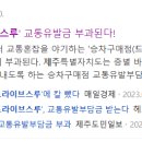 폴 건축사사무소 이미지