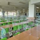 대전괴정고등학교 이미지