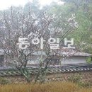 오미고을 티스토리