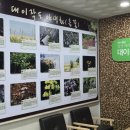 해양생태관 | 인천 섬 대이작도 여행 해양생태관 관람 후기