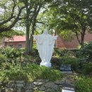 노안삼도로 이미지