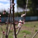 나무다락방 민박 이미지