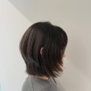 Hair Min(헤어민)