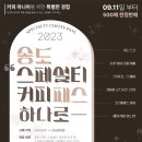 돌핀커피오마카세