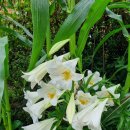 선우 행정사사무소 이미지