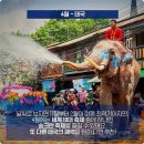 투어 365 여행사