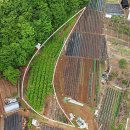 와동농장 이미지