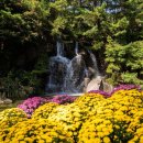 용대관광지 이미지