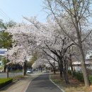 긴 기다림, 짧은 산행! - 당진 석문면 대난지도 국수봉(121.7m)~수살리봉(102.7m~일월봉(105m)~망치봉(119m)~바드레산(117.6m) 이미지