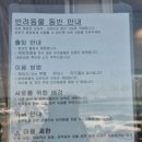 쪼끌락 | 제주도 애견동반 카페 ㅣ 김녕 쪼끌락카페 솔직 후기