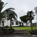 3.4.1글로리아 이미지