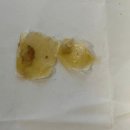 예젤의원 이미지