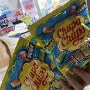 오엑스피씨 시립대로점 이미지