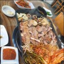 꿀통돼지 이미지