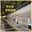 책과의동행(야간) | 덕수궁 달빛동행 ㅣ고궁의 밤을 걷다, 특별한 야간 체험 후기