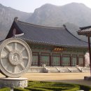 꽃비나리 이미지