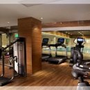 엠지엠(MGM) 이미지