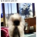 청춘스토리 동림점 | 최유녕 블로그 복귀사건