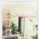 강아지사랑 이미지