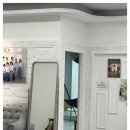 숲속의아침 이미지