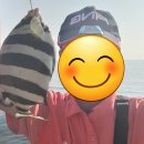 봉선화~맑은영혼 이미지
