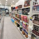 디어마이펫 이미지