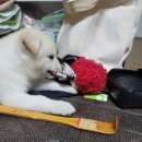 이구현한의원 이미지