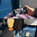 우당탕ㄷ나고야