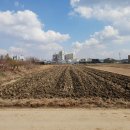 조리사거리 이미지