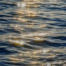 카페청연 이미지