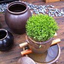 정왕4동주민센터 이미지