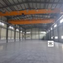 엠티브이8로 이미지