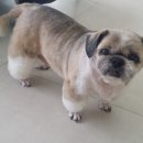 엘케이동물의료센터 이미지