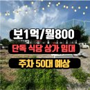 청주1등공인중개사사무소 이미지
