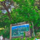 대  산 | 전북 여행코스 추천 완주 대둔산 아웃도어 페스티벌과 케이블카 주차장 흔들다리 등산코스 맛집까지 총정리