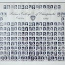 손철호재활의학과의원 이미지