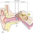 제주그랜드보청기 이미지