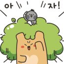 형제농약사 이미지
