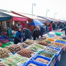 솔숲과 바다 이미지