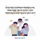 동서일태양광발전소 이미지