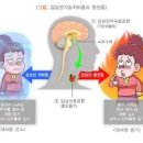 갑상선기능 저하증 10가지 이미지