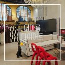 더마름 다이어트 목동점 | [BEAUTY] 상체 다이어트 누워서 옆구리 살 빼기 - 더마름다이어트 목동점 (솔직후기)