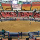 청도소싸움경기장 이미지