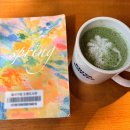 임신 34주차 벚꽃 만개, 카페 독서와 부모님과의 일상🌸☕｜2026 WK13