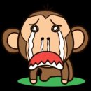 (주)호영 | 두쫀쿠가 먹고... 아니 알고싶다🔍(feat. 두쫀쿠 맛집, 두쫀쿠 후기)