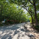 화암사 - 1067 | 속초 고성 가볼만한곳 울산바위 뷰 가득한 금강산 화암사 후기