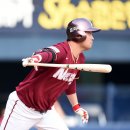 채태인 카카오 검색결과